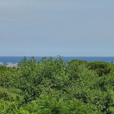 Apartment I Noci Rimini