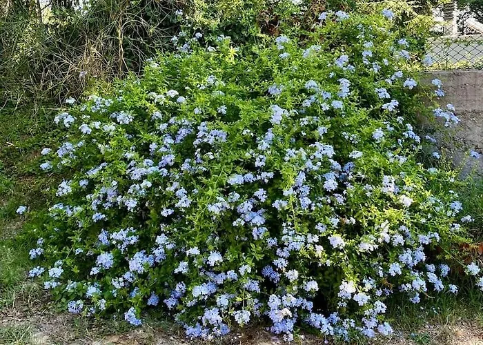 Appartamento I Noci *